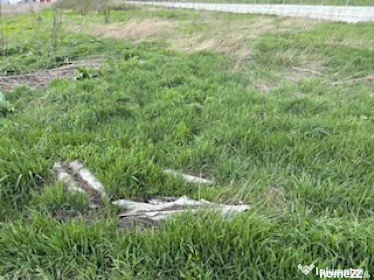 Teren în Lețcani
