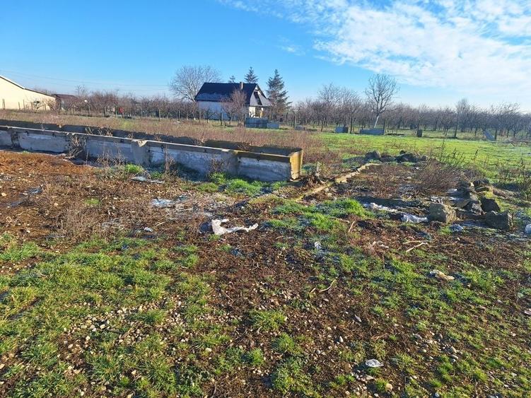 Teren de 6285 mp, în Tărian
