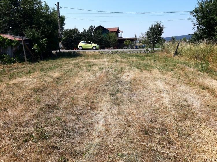Teren Construcții intravilan de 990 mp, în Curteni