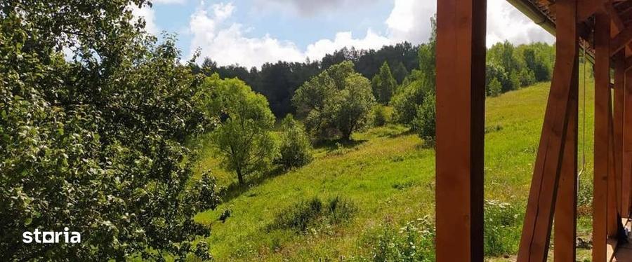 Casă cu 4 camere cu Teren 8000 Mp în Vale