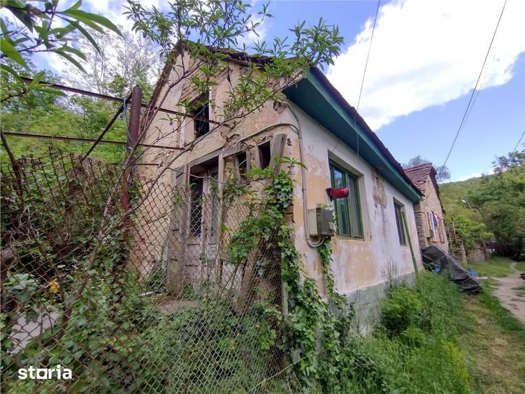 Sasca Montana | Oportunitate | Casa cu 230 MP Teren - 8