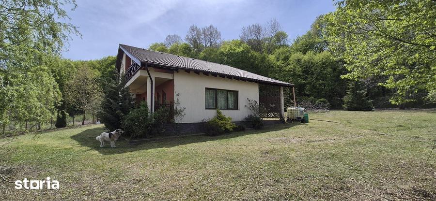 Casă cu 5 camere cu Teren 1344 Mp în Păsăreni