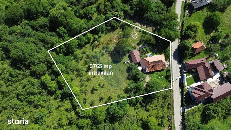 Casa de vanzare in natura la tara - Mihaesti - 4
