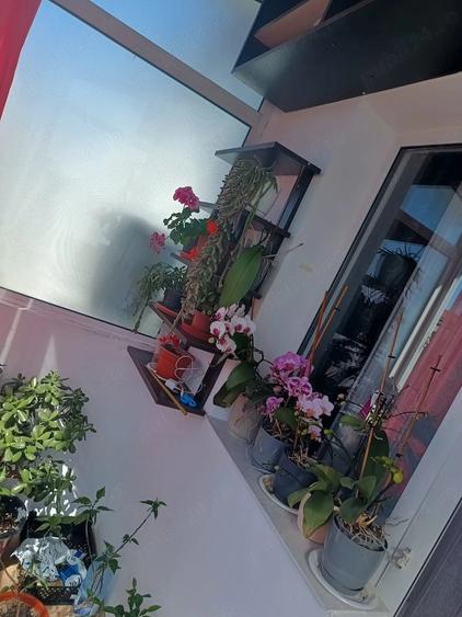 Apartament cu 2 camere decomandat în Nord