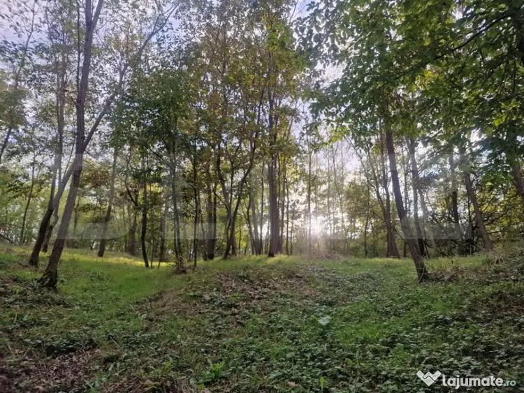 Teren de 79000 mp, în Central