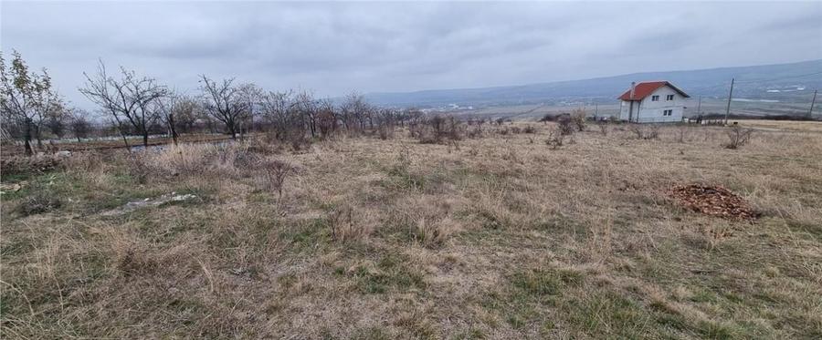 Teren Construcții intravilan de 4800 mp, în Sud