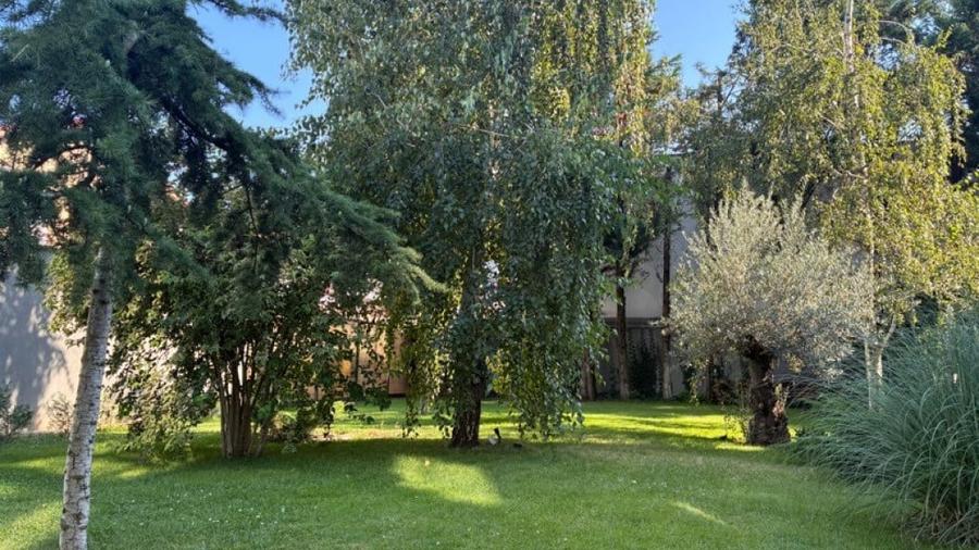 Apartament cu 5 camere decomandat în Iancu Nicolae