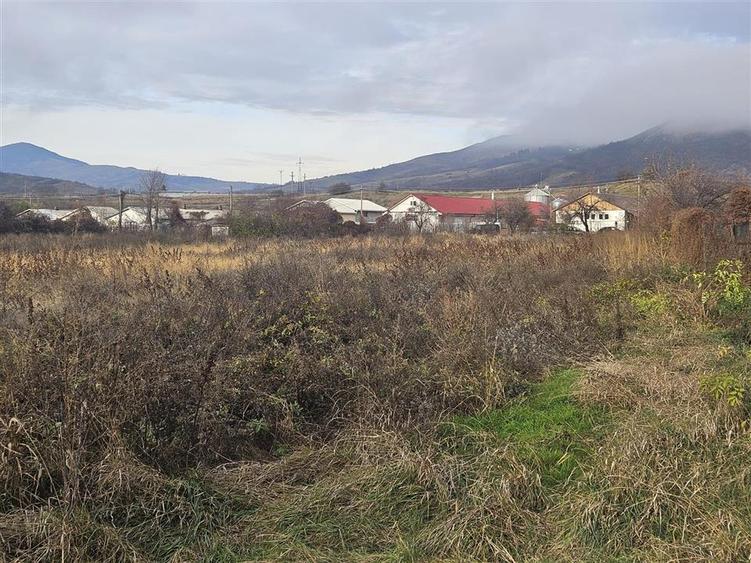 Teren Construcții intravilan de 10698 mp, în Central