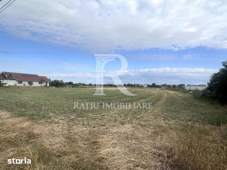 Teren de 9482 mp, în Leș
