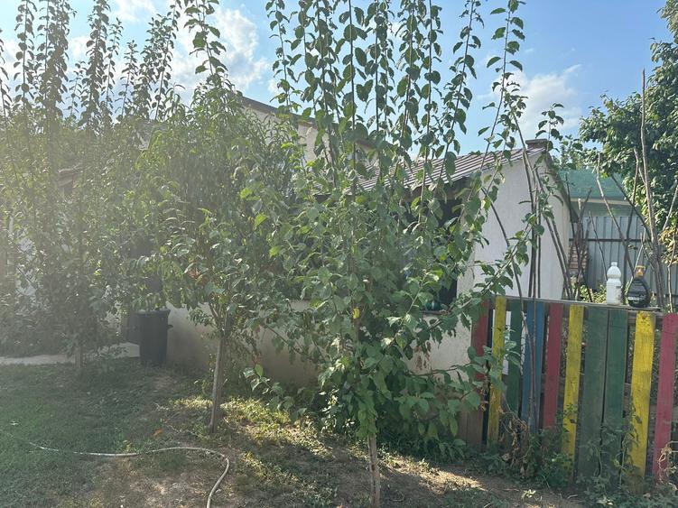 Casă individuală cu 4 camere cu Canalizare în Ultracentral