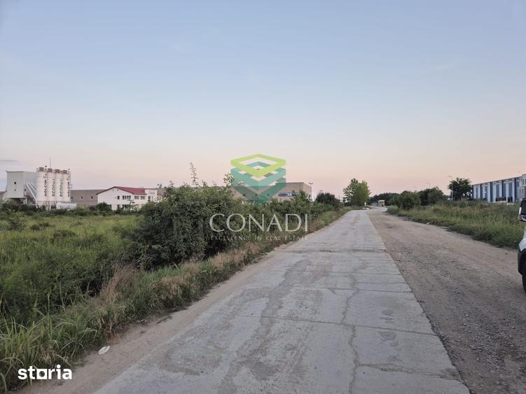 Teren de 23943 mp, în Clinceni