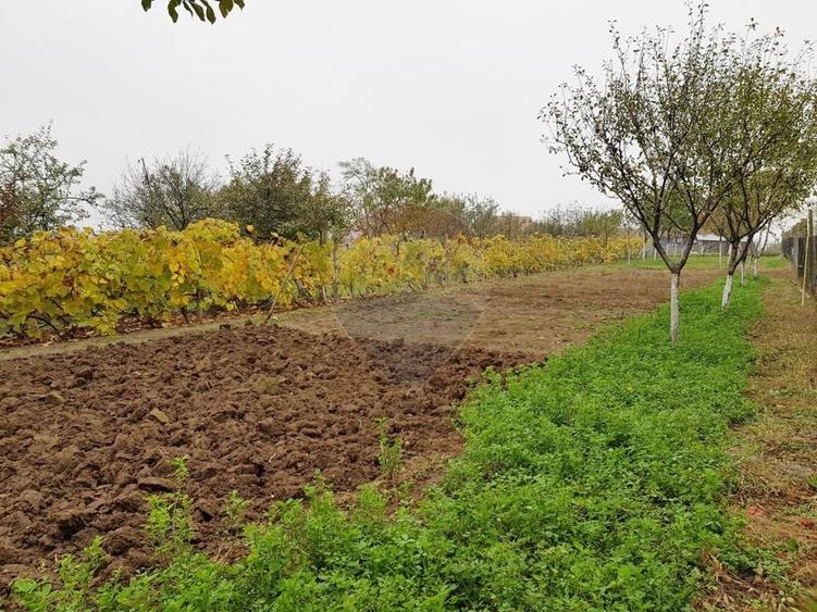 Casă individuală cu 6 camere cu Teren 1453 Mp în Mâsca