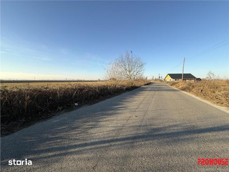 Teren de 3600 mp, în Letea Veche