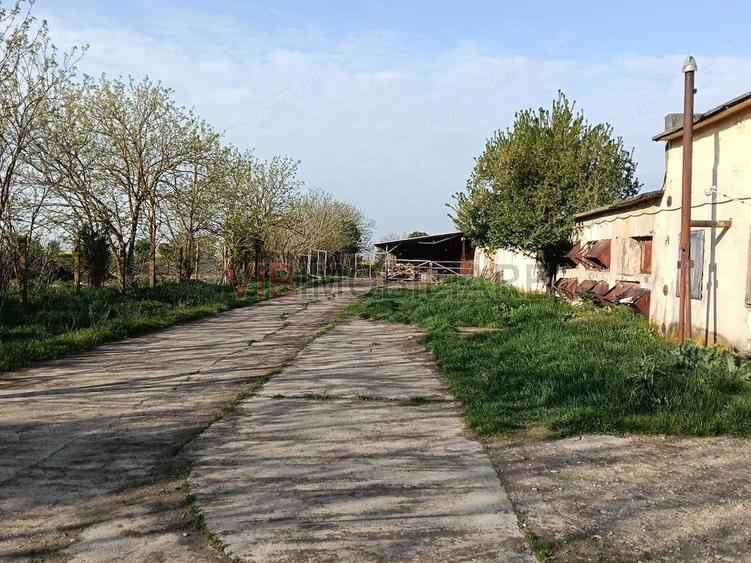 Teren de 25000 mp, în Călacea