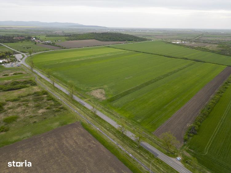 Teren de 22500 mp, în Ineu