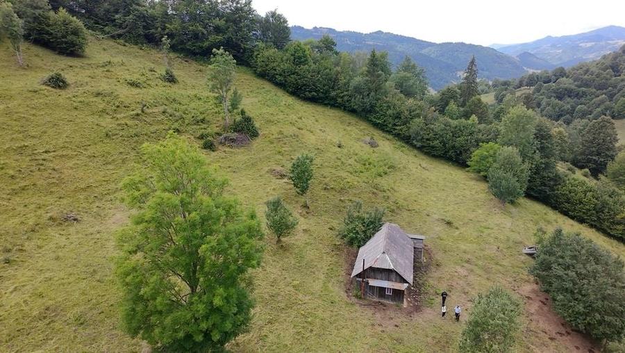 Teren de 30000 mp, în Șanț