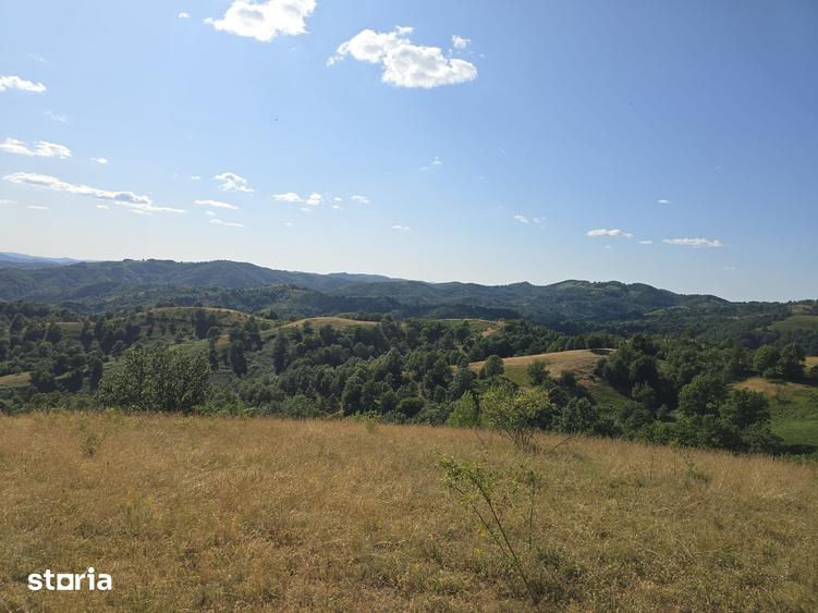 Teren de 150000 mp, în Cerbăl
