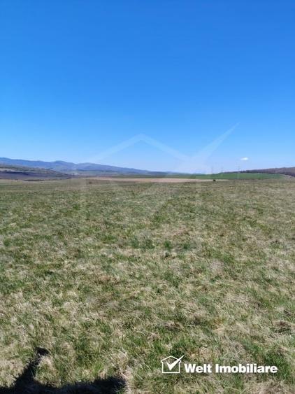 Teren agricol de 10000 mp, în Ciurila