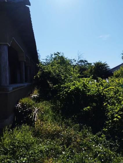 Casă individuală cu 3 camere cu Canalizare în Budeni