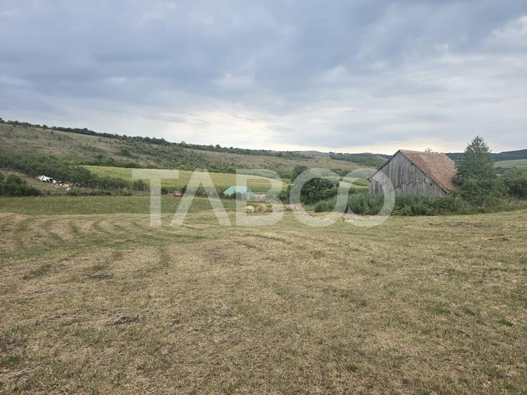 Teren agricol extravilan de 8700 mp, în Șura Mare