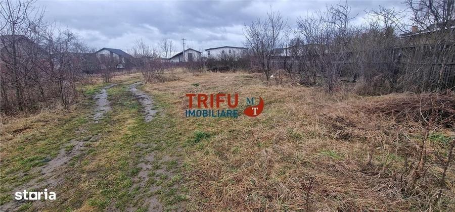 Spațiu comercial, în Cetate