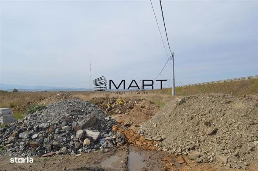 Teren de 6500 mp, în Veterani