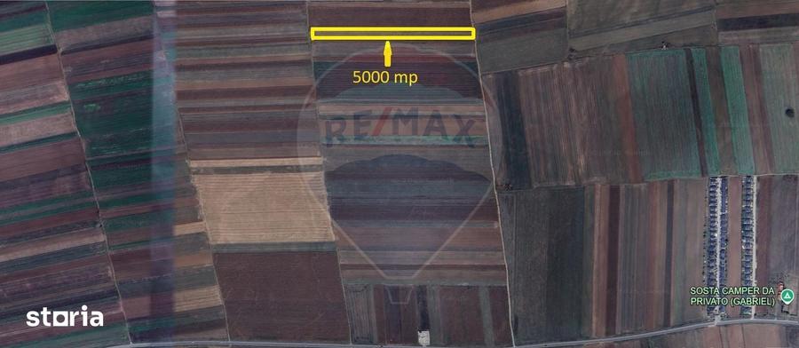 Teren de 5000 mp, în Tărlungeni