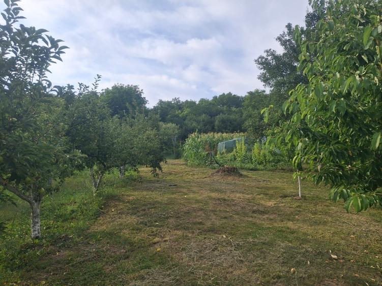 Casă cu 4 camere în Sânpetru