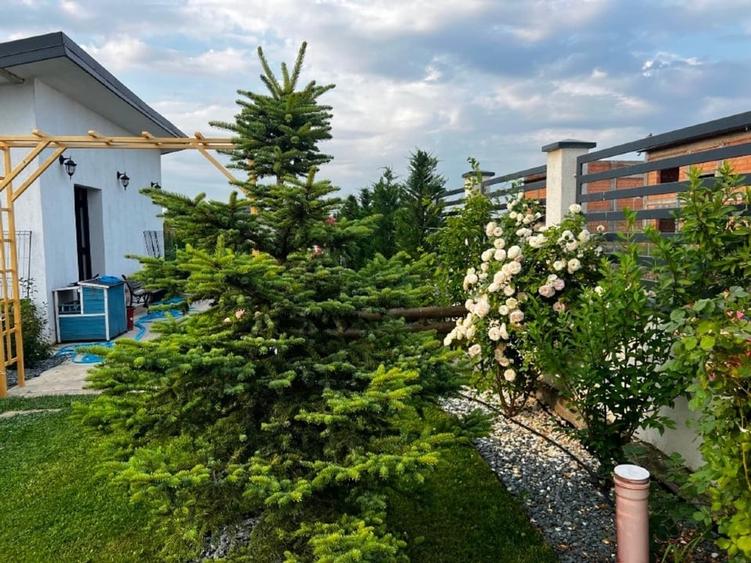 Teren Construcții intravilan de 1250 mp, în Domnești