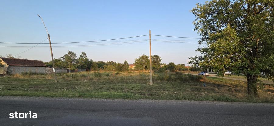 Teren de 1600 mp, în Sacoșu Turcesc
