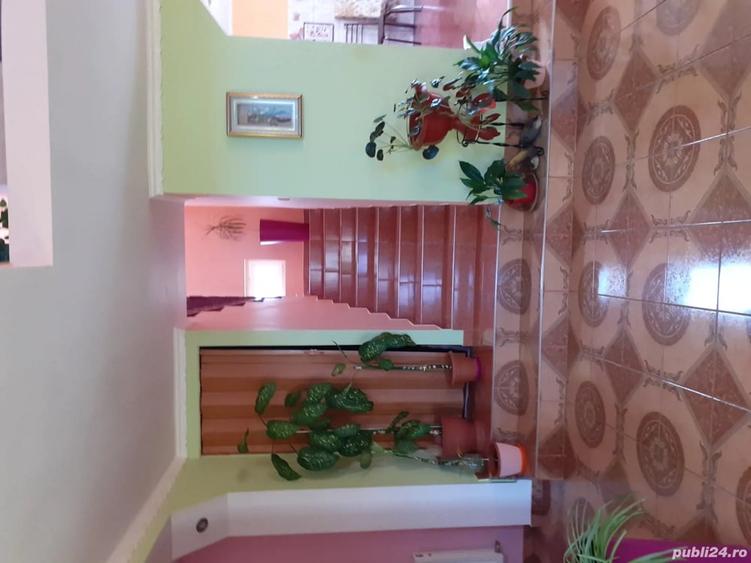 Casă cu 5 camere în Central