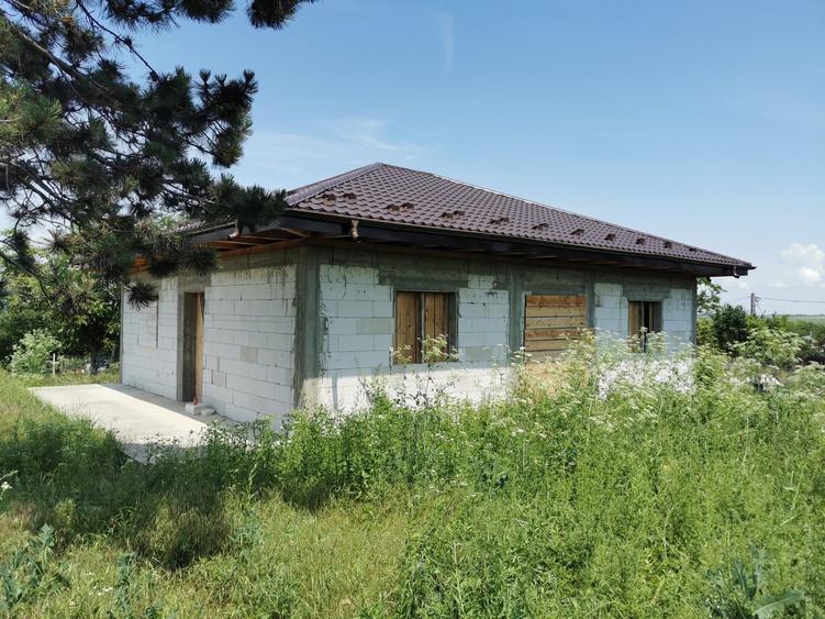 Casă cu 3 camere în Alexandru cel Bun