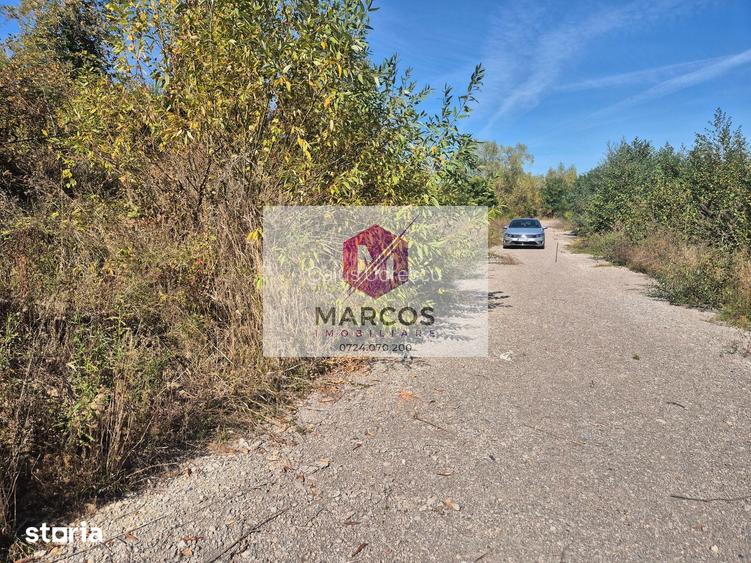Vand teren Calea Caransebe?ului km 1