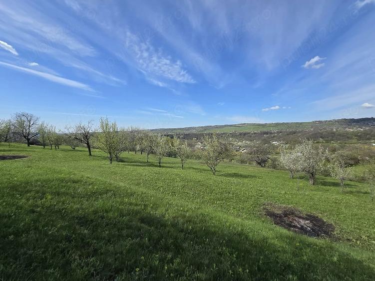 Teren extravilan 2500 mp Izvoarele Jud . Prahova - 6
