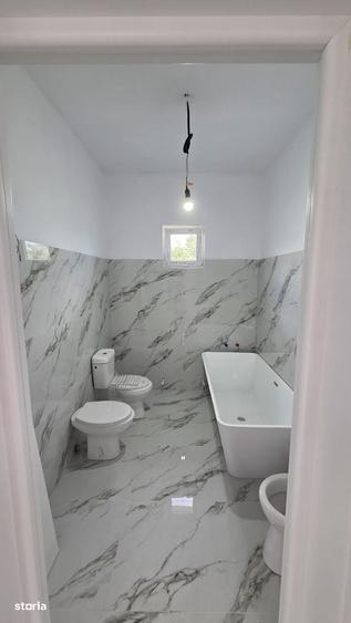 Casă cu 3 camere în Viile Satu Mare