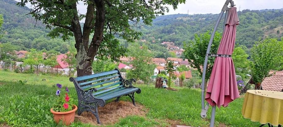 Casa cu gradina de vanzare - 5