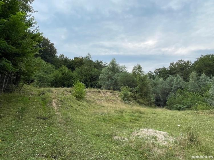 Teren de 200 mp, în Prislopu Mic