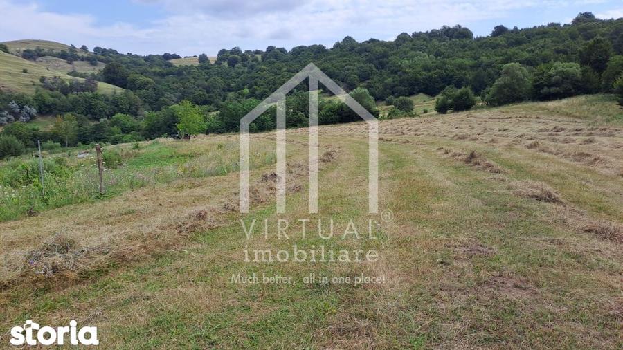 Teren extravilan de vanzare 15,600 mp zona loc... Hamba - 6