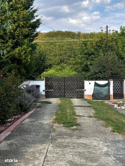 Casă cu 5 camere cu Teren 3800 Mp în Plopu
