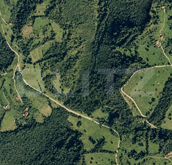 Teren extravilan de 30865 mp, în Târsa