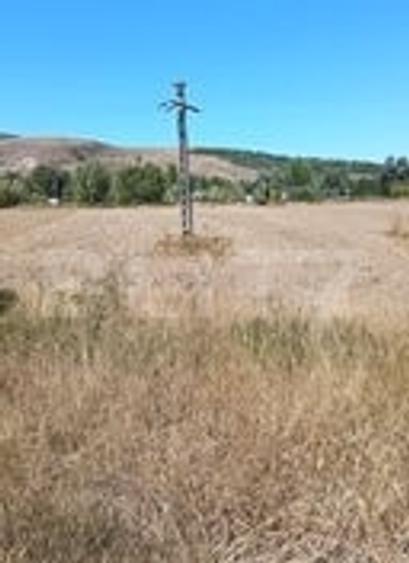 Teren agricol extravilan de 3400 mp, în Cornești