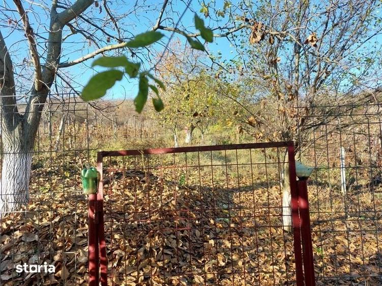 Casă cu 3 camere cu Teren 58 Mp în Berislăvești