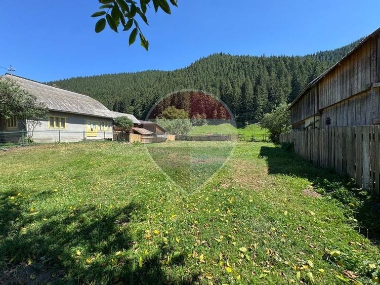 De vanzare | Teren 5412mp , Scoala Sabasa | Borca | Neamt - 10