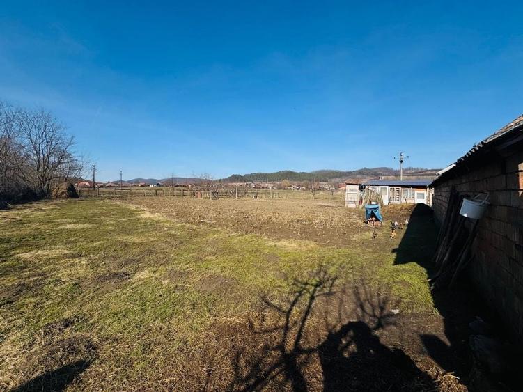 Casă cu 3 camere în Panticeu