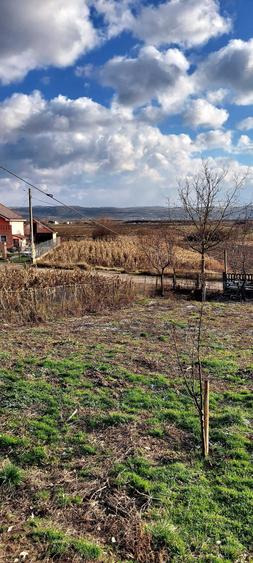 Teren de 750 mp, în Cuzdrioara
