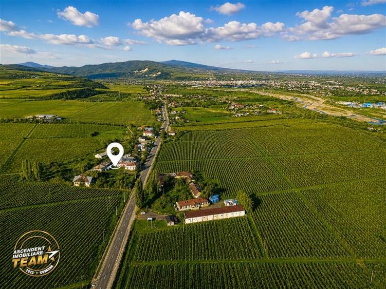 Teren Construcții intravilan de 4000 mp, în Vârteșcoiu