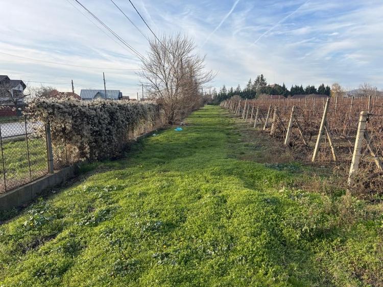 Casă individuală cu 10 camere cu Teren 53000 Mp în Călinești