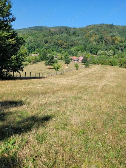 Teren de 1400 mp, în Săvârșin