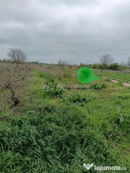 Teren de 2000 mp, în Mihăilești