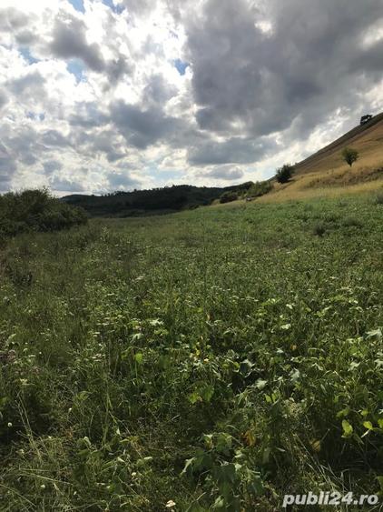 Teren de 11500 mp, în Micăsasa